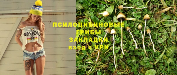 mdpv Алексин