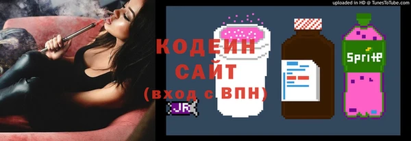 прущие грибы Алзамай