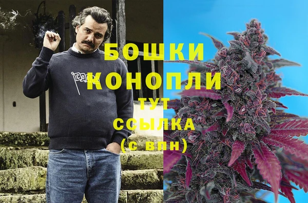 прущие грибы Алзамай