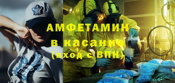 прущие грибы Алзамай