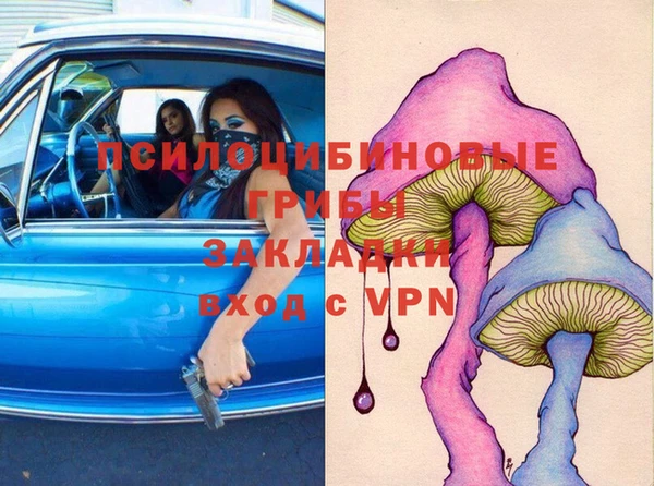прущие грибы Алзамай