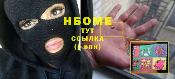 прущие грибы Алзамай