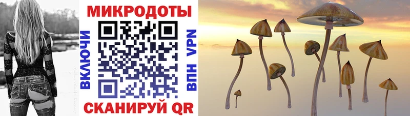 Галлюциногенные грибы GOLDEN TEACHER Анива
